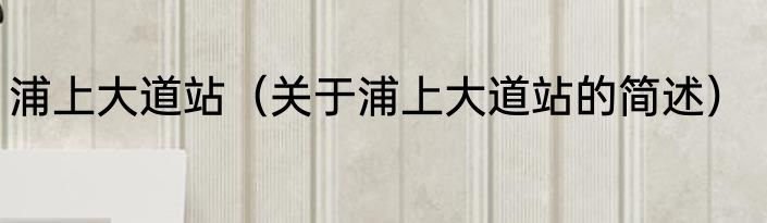 浦上大道站（关于浦上大道站的简述）