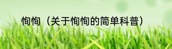 恂恂（关于恂恂的简单科普）