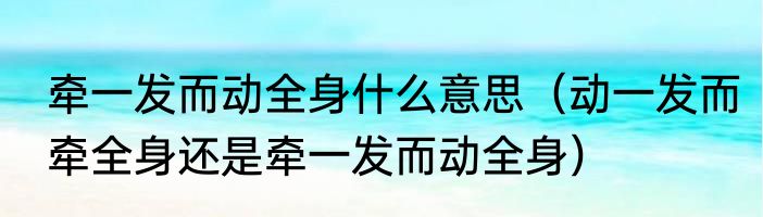 牵一发而动全身什么意思（动一发而牵全身还是牵一发而动全身）