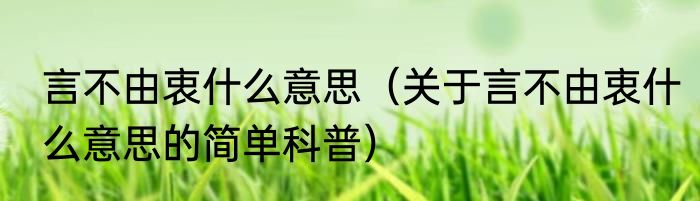 言不由衷什么意思（关于言不由衷什么意思的简单科普）