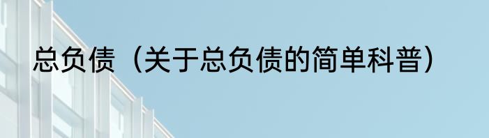 总负债（关于总负债的简单科普）