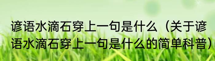 谚语水滴石穿上一句是什么（关于谚语水滴石穿上一句是什么的简单科普）