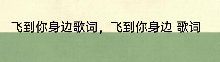 飞到你身边歌词，飞到你身边 歌词