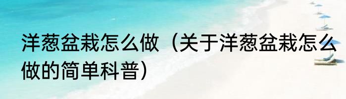 洋葱盆栽怎么做（关于洋葱盆栽怎么做的简单科普）