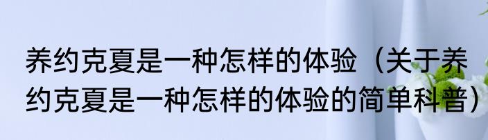 养约克夏是一种怎样的体验（关于养约克夏是一种怎样的体验的简单科普）