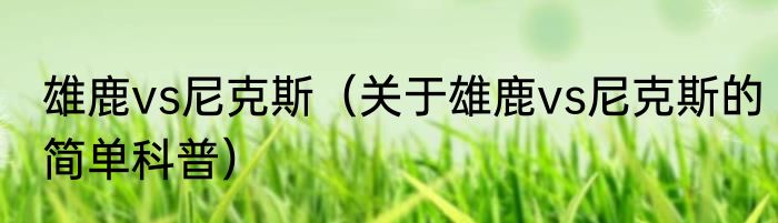 雄鹿vs尼克斯（关于雄鹿vs尼克斯的简单科普）