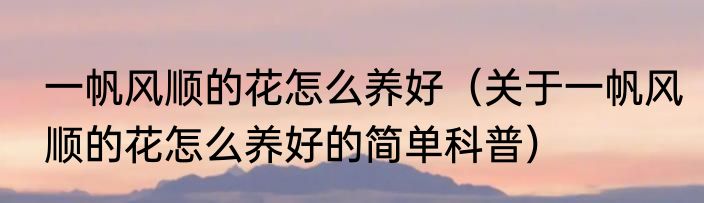 一帆风顺的花怎么养好（关于一帆风顺的花怎么养好的简单科普）