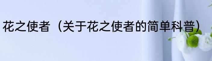 花之使者（关于花之使者的简单科普）