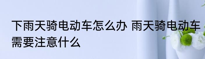 下雨天骑电动车怎么办 雨天骑电动车需要注意什么