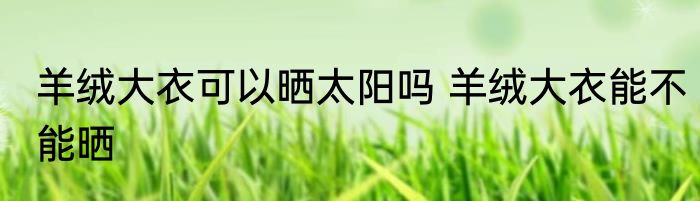 羊绒大衣可以晒太阳吗 羊绒大衣能不能晒