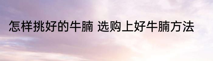 怎样挑好的牛腩 选购上好牛腩方法