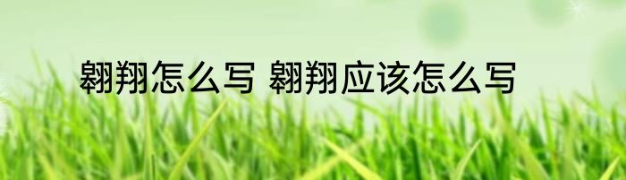 翱翔怎么写 翱翔应该怎么写