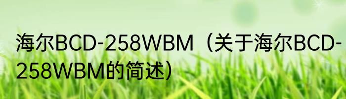 海尔BCD-258WBM（关于海尔BCD-258WBM的简述）