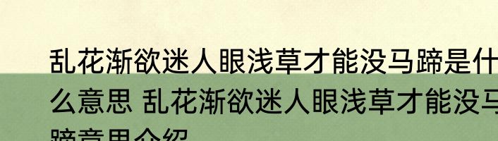 乱花渐欲迷人眼浅草才能没马蹄是什么意思 乱花渐欲迷人眼浅草才能没马蹄意思介绍