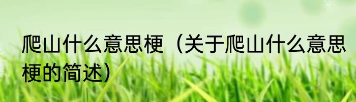 爬山什么意思梗（关于爬山什么意思梗的简述）