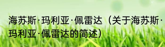 海苏斯·玛利亚·佩雷达（关于海苏斯·玛利亚·佩雷达的简述）