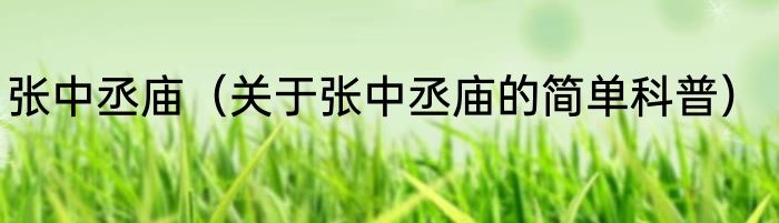 张中丞庙（关于张中丞庙的简单科普）