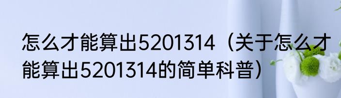 怎么才能算出5201314（关于怎么才能算出5201314的简单科普）