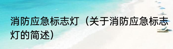 消防应急标志灯（关于消防应急标志灯的简述）