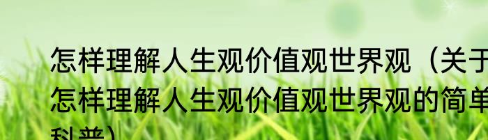 怎样理解人生观价值观世界观（关于怎样理解人生观价值观世界观的简单科普）
