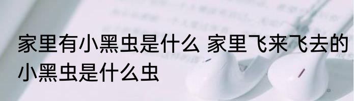 怎样判断路易斯酸碱（关于怎样判断路易斯酸碱的简单科普）