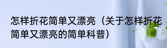 怎样折花简单又漂亮（关于怎样折花简单又漂亮的简单科普）