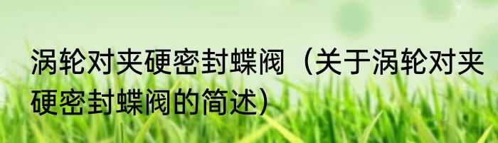 涡轮对夹硬密封蝶阀（关于涡轮对夹硬密封蝶阀的简述）