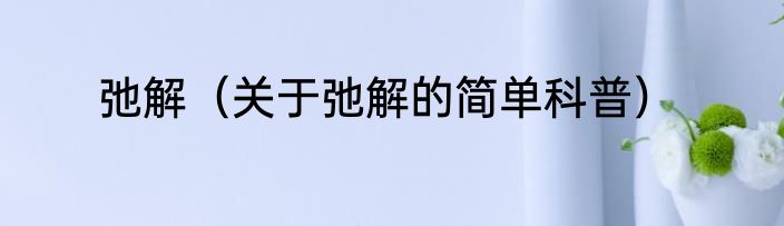 弛解（关于弛解的简单科普）