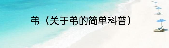 弚（关于弚的简单科普）
