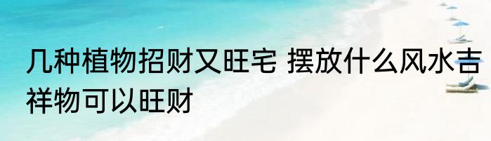 几种植物招财又旺宅 摆放什么风水吉祥物可以旺财