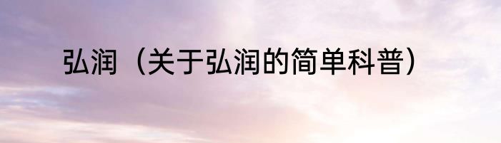 弘润（关于弘润的简单科普）