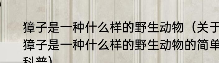 獐子是一种什么样的野生动物（关于獐子是一种什么样的野生动物的简单科普）