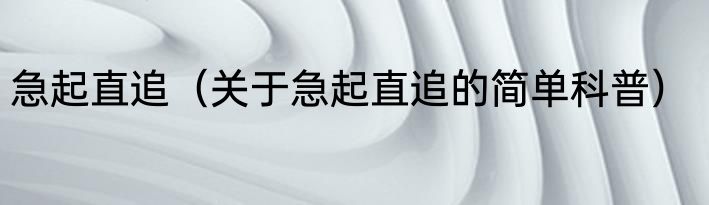 急起直追（关于急起直追的简单科普）