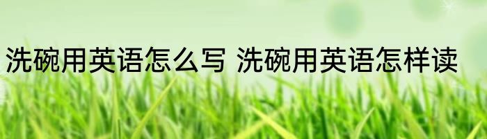 洗碗用英语怎么写 洗碗用英语怎样读