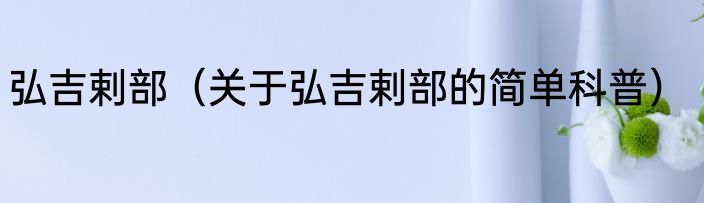 弘吉剌部（关于弘吉剌部的简单科普）