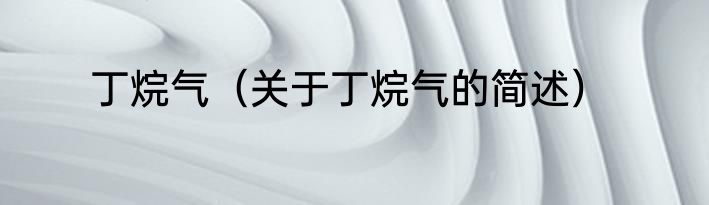 丁烷气（关于丁烷气的简述）