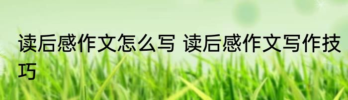 读后感作文怎么写 读后感作文写作技巧