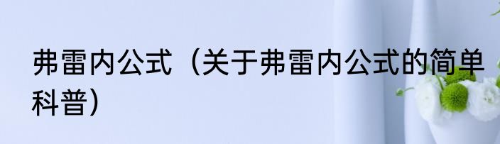 弗雷内公式（关于弗雷内公式的简单科普）
