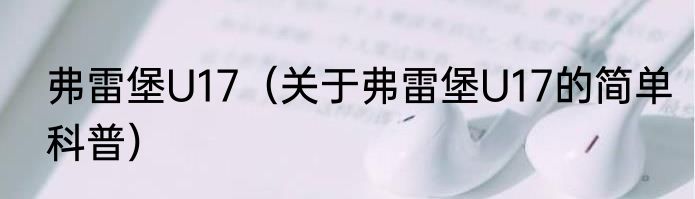 弗雷堡U17（关于弗雷堡U17的简单科普）