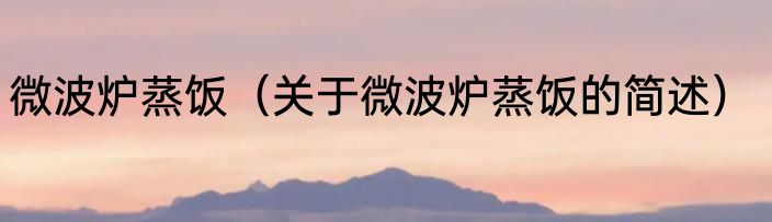 微波炉蒸饭（关于微波炉蒸饭的简述）