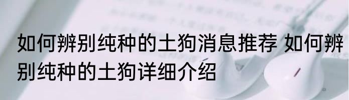 如何辨别纯种的土狗消息推荐 如何辨别纯种的土狗详细介绍