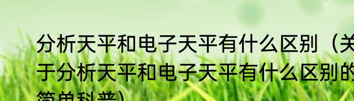 分析天平和电子天平有什么区别（关于分析天平和电子天平有什么区别的简单科普）