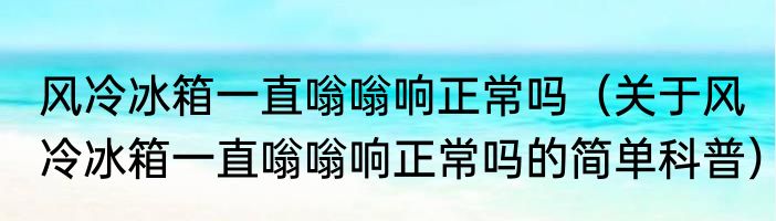 风冷冰箱一直嗡嗡响正常吗（关于风冷冰箱一直嗡嗡响正常吗的简单科普）