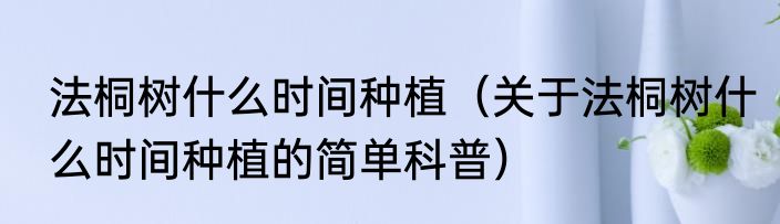 法桐树什么时间种植（关于法桐树什么时间种植的简单科普）