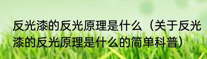反光漆的反光原理是什么（关于反光漆的反光原理是什么的简单科普）