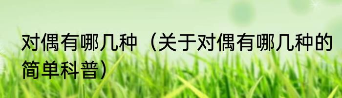 对偶有哪几种（关于对偶有哪几种的简单科普）