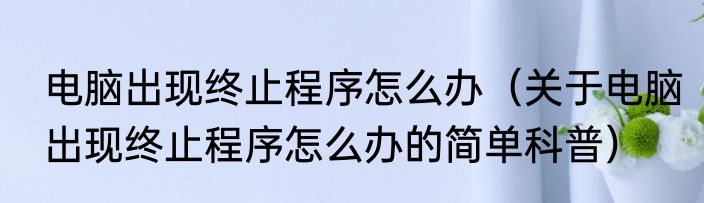电脑出现终止程序怎么办（关于电脑出现终止程序怎么办的简单科普）
