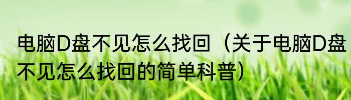 电脑D盘不见怎么找回（关于电脑D盘不见怎么找回的简单科普）