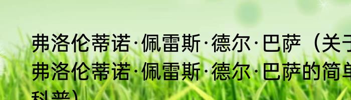 弗洛伦蒂诺·佩雷斯·德尔·巴萨（关于弗洛伦蒂诺·佩雷斯·德尔·巴萨的简单科普）