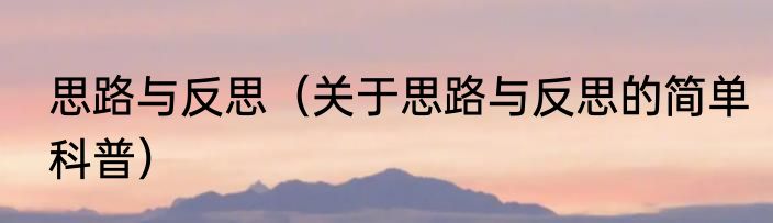 思路与反思（关于思路与反思的简单科普）